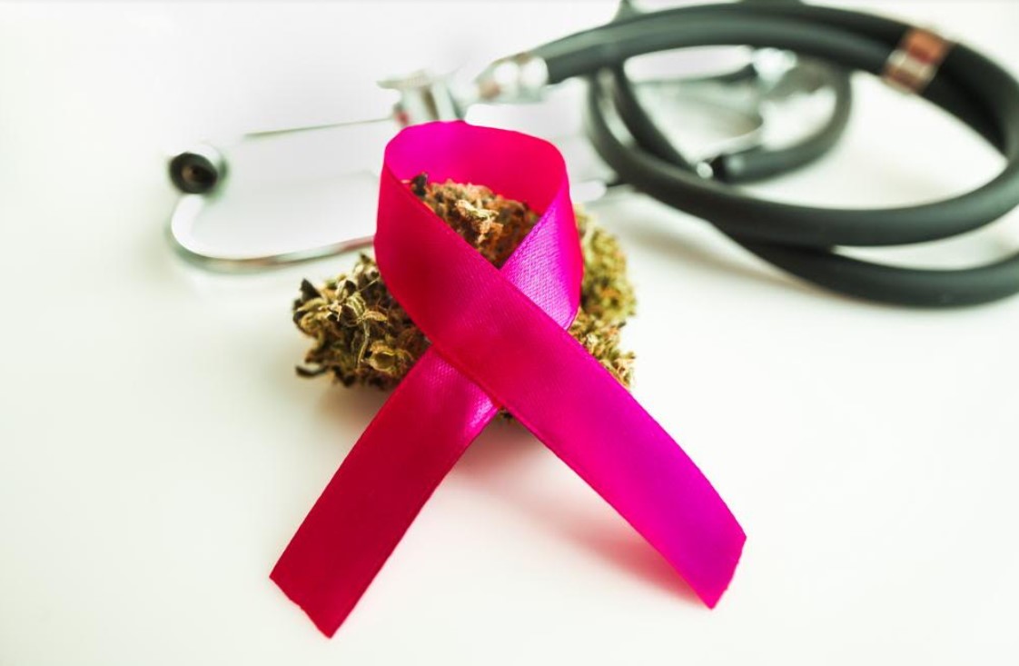 Medical Cannabis for Cancer Treatment – Understanding the Potential Benefits